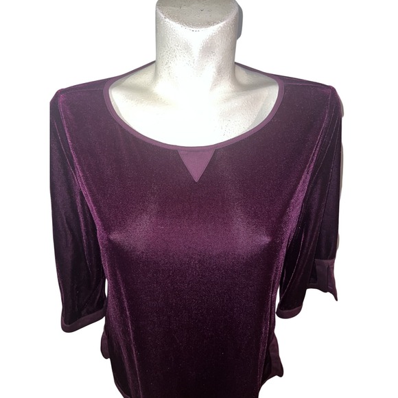 Soft Surroundings Velvet 3/4 Sleeve V Notch Neck Tunic Top PS Plum - Picture 2 of 6